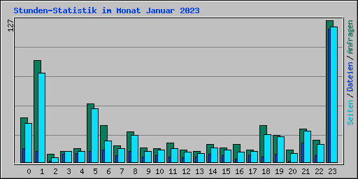 Stunden-Statistik im Monat Januar 2023