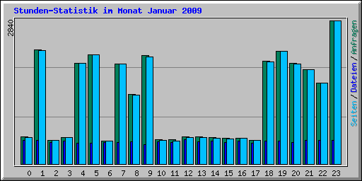 Stunden-Statistik im Monat Januar 2009