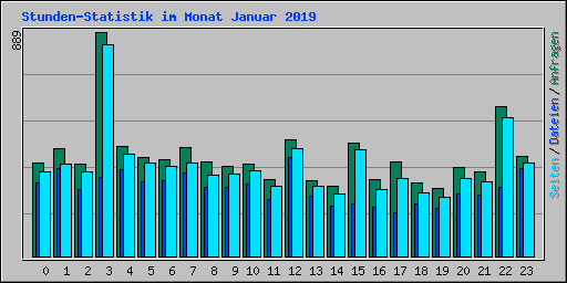 Stunden-Statistik im Monat Januar 2019