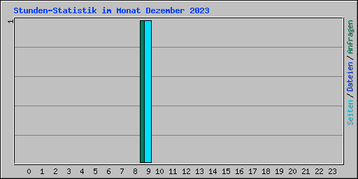 Stunden-Statistik im Monat Dezember 2023