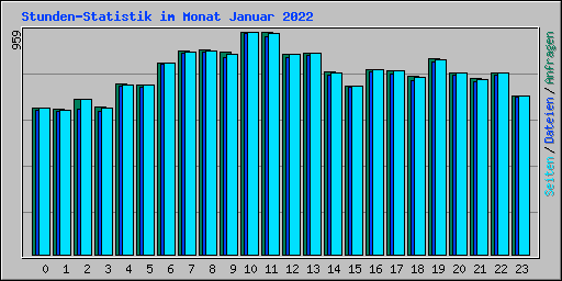 Stunden-Statistik im Monat Januar 2022