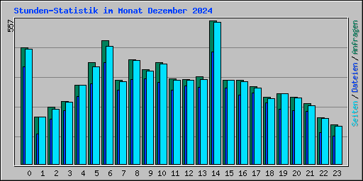 Stunden-Statistik im Monat Dezember 2024