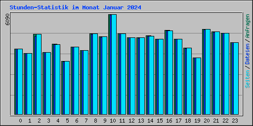 Stunden-Statistik im Monat Januar 2024